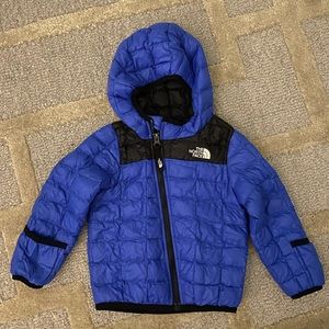 The north face toddler jacket
